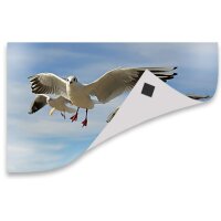 Magstick 100 Stück Magnet-Plättchen I selbstklebende Vorderseite magnetische Rückseite I je 2 x 2 cm I für Foto Postkarte Poster Notizen I diy Kühlschrank-Magnet I mag001